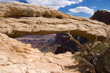 mesa arch in canyonlands national park