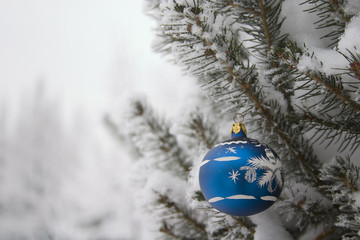 evergreen with christmas decoration