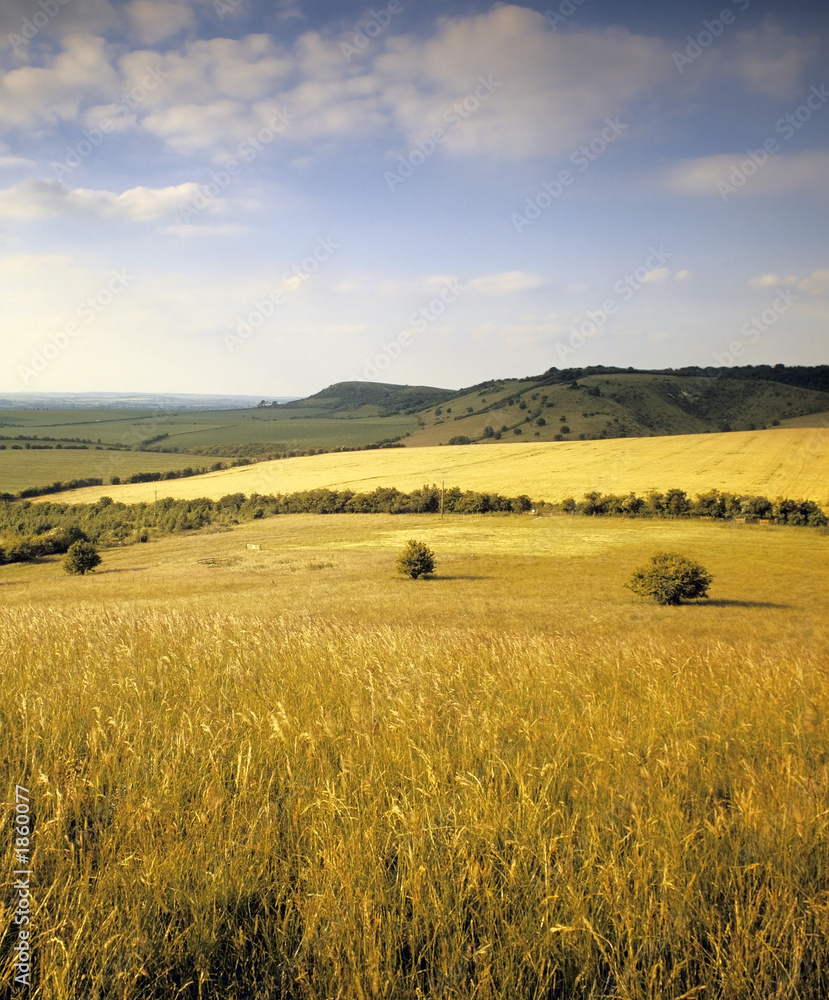 Sticker rolling countryside