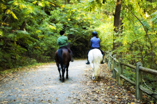 horse riding on autumn trail 2
