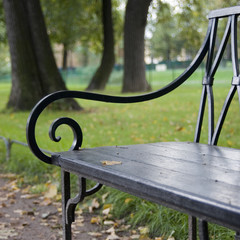 bench in the park