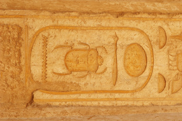 hiéroglyphes de scarabée - Egypte