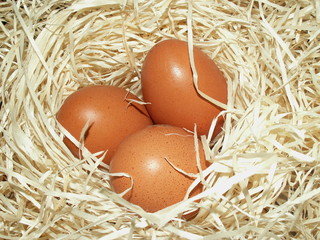 oeuf © Véronique PETIT
