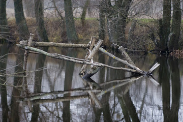 bucolic fall landscape