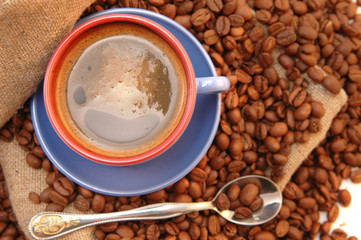 coffee beans cup with coffee and spoon