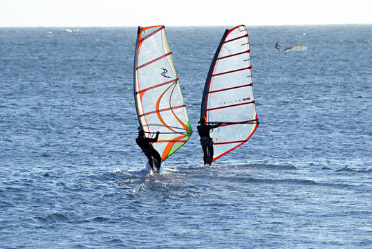 planche papillon