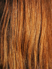brown hair on sun detail
