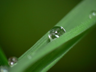 goutte de pluie