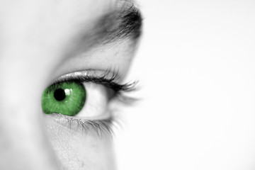 oeil vert