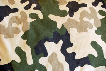 camouflage #4