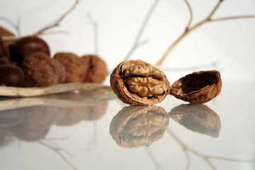 noix et châtaignes 2