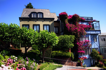 Fototapeta na wymiar Lombard Street, San Francisco