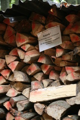 holzstapel
