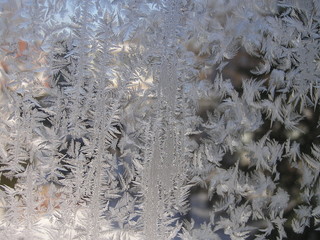 frosty winter in january