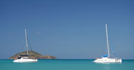 Foto op Plexiglas caribbean cruising © Digishooter