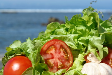 entree gastronomique