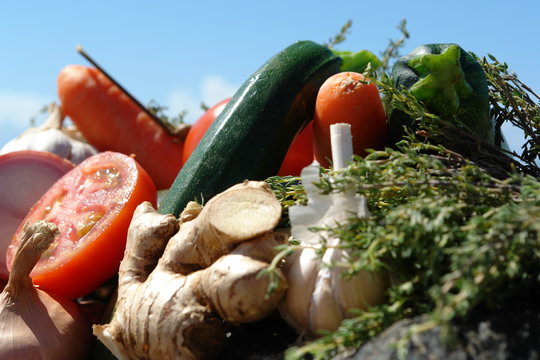 legumes au soleil