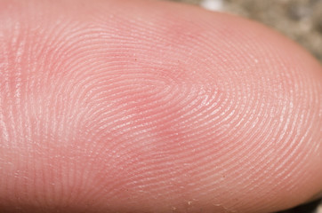 fingerprint
