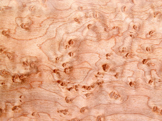bird's eye maple background