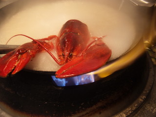 Hummer in einem dampfend heißen Topf kochen