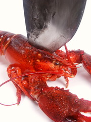 einen gekochten Hummer halbieren