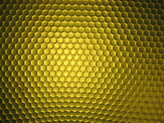 bee hive
