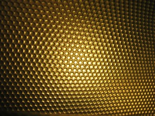 bee hive