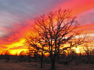 Obraz na płótnie Canvas Oklahoma słońca 5