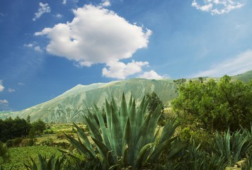 south america landscape
