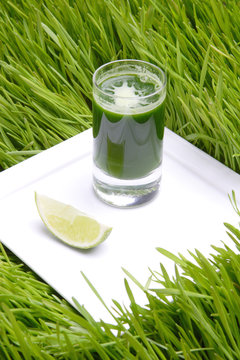 drink, wheat fresh