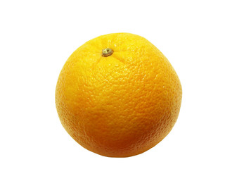 navel orange