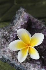 plumeria flower and amethyst crystal