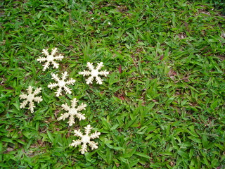 single gold snow flakes cross on green grass