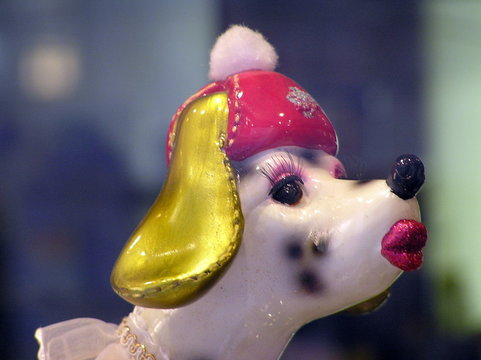 pet