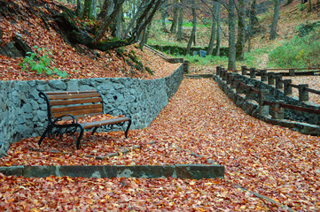bench in autumn park