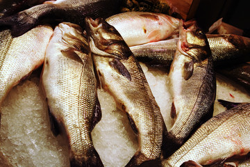 pescado fresco