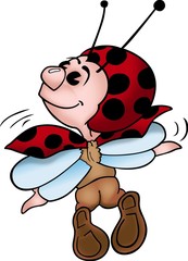 ladybug 8