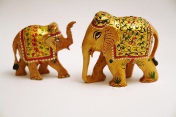 Fototapeta premium elephants