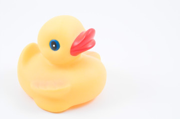 rubber duck
