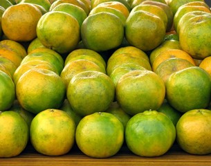 fresh  mandarin oranges