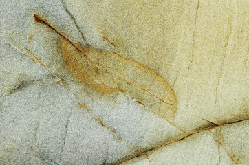 leaf on stone