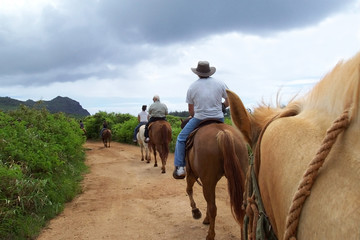 family on a trail on horseback