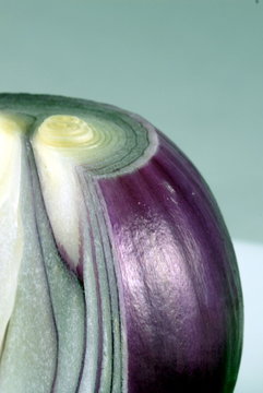vertical onion