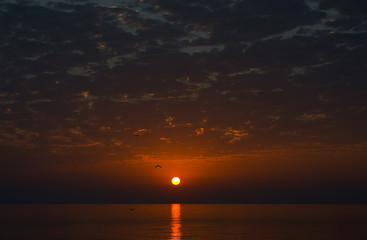 Naklejka premium red sunrise