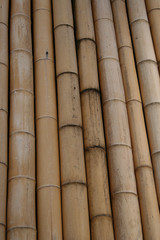 bamboo wall detail