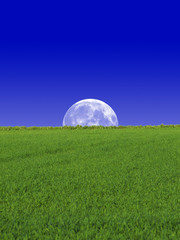 moon & sky & grass