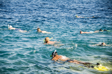 a lot of snorkeling people