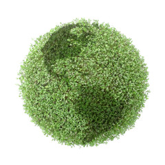 green globe