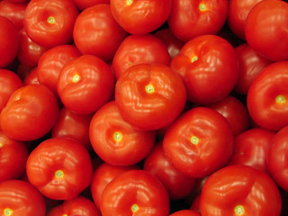 tomato background2