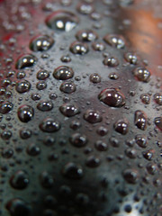 fresh tomato closeup with water drops